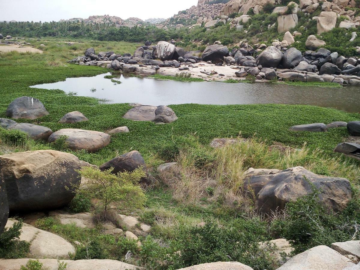 Riverside Homestay Hampi Exteriör bild